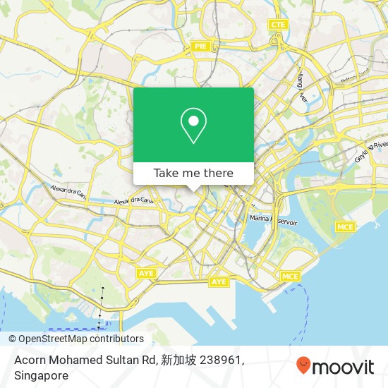 Acorn Mohamed Sultan Rd, 新加坡 238961 map