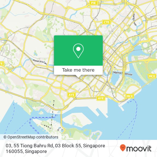 03, 55 Tiong Bahru Rd, 03 Block 55, Singapore 160055地图