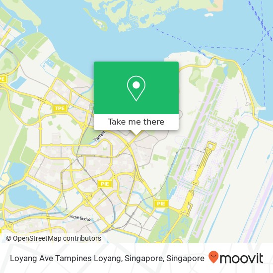 Loyang Ave Tampines Loyang, Singapore map