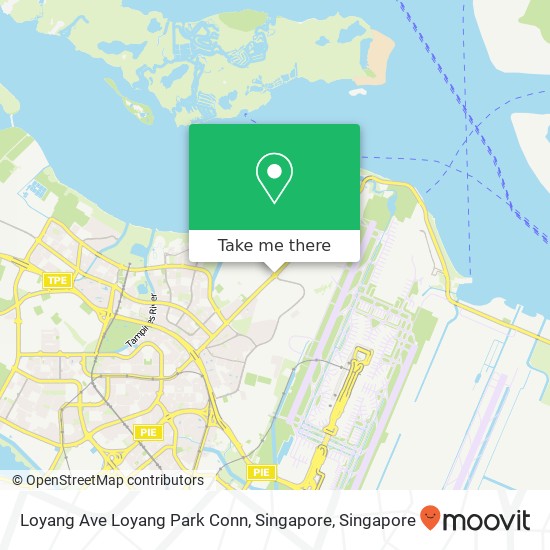 Loyang Ave Loyang Park Conn, Singapore map
