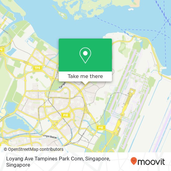 Loyang Ave Tampines Park Conn, Singapore map