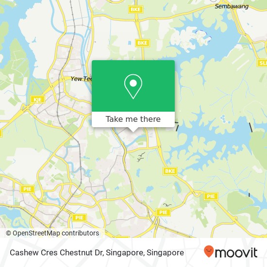 Cashew Cres Chestnut Dr, Singapore地图