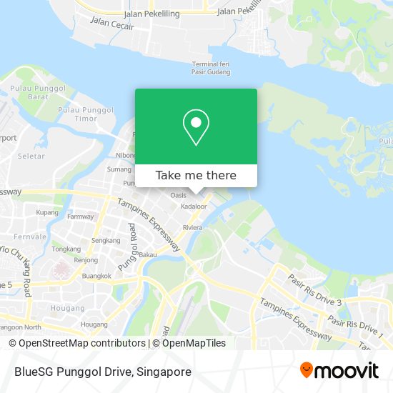 BlueSG Punggol Drive map