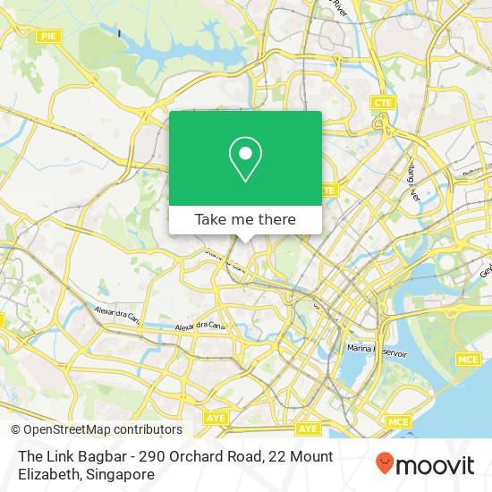 The Link Bagbar - 290 Orchard Road, 22 Mount Elizabeth地图