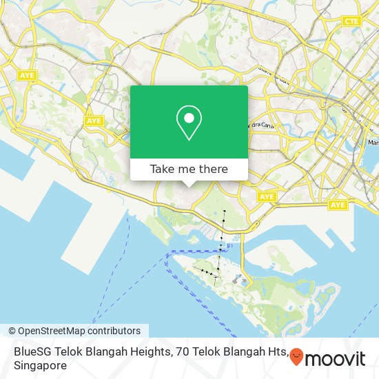 BlueSG Telok Blangah Heights, 70 Telok Blangah Hts地图