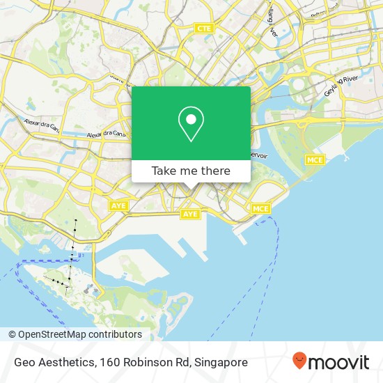 Geo Aesthetics, 160 Robinson Rd map