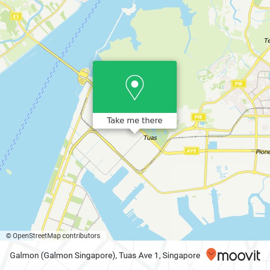 Galmon (Galmon Singapore), Tuas Ave 1 map