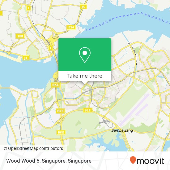 Wood Wood 5, Singapore map