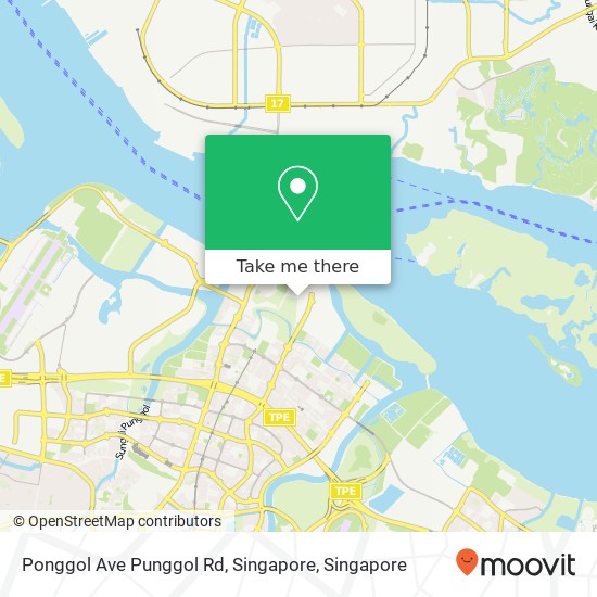 Ponggol Ave Punggol Rd, Singapore地图