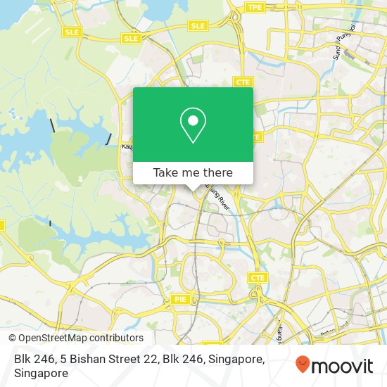 Blk 246, 5 Bishan Street 22, Blk 246, Singapore地图