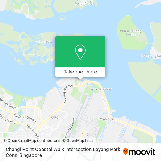 Changi Point Coastal Walk intersection Loyang Park Conn map