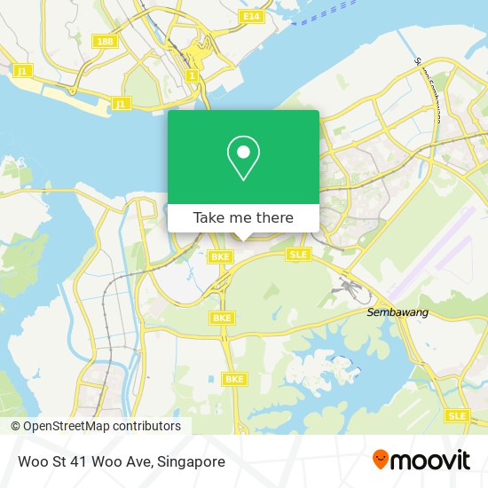 Woo St 41 Woo Ave地图