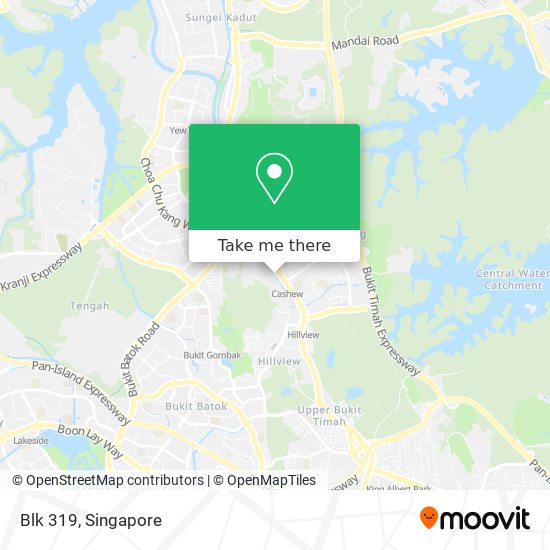 Blk 319 map