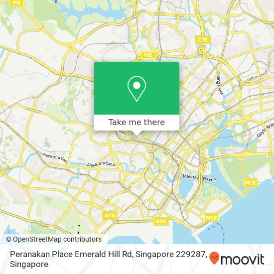Peranakan Place Emerald Hill Rd, Singapore 229287地图