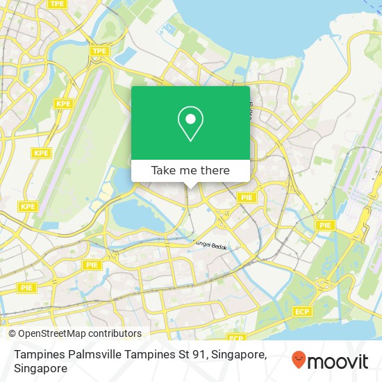 Tampines Palmsville Tampines St 91, Singapore map