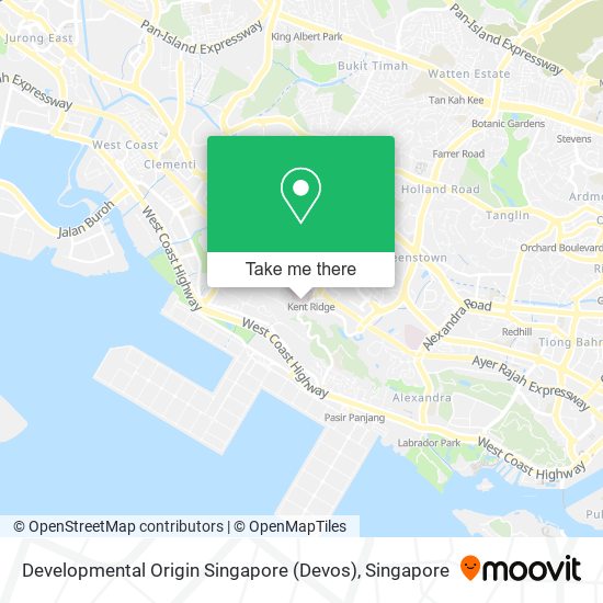 Developmental Origin Singapore (Devos) map