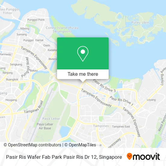 Pasir Ris Wafer Fab Park Pasir Ris Dr 12地图