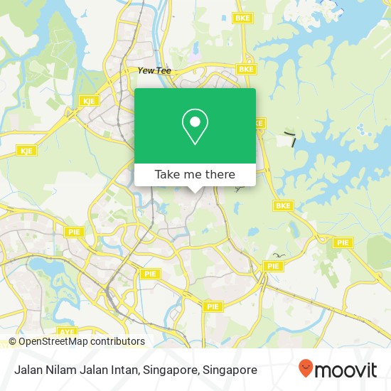 Jalan Nilam Jalan Intan, Singapore地图