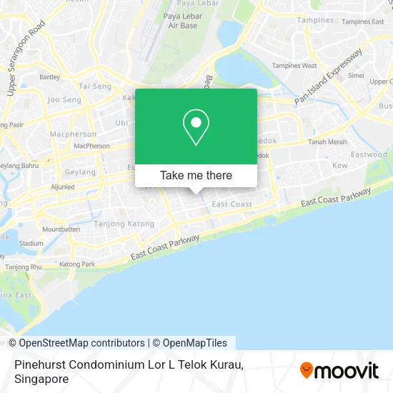 Pinehurst Condominium Lor L Telok Kurau地图