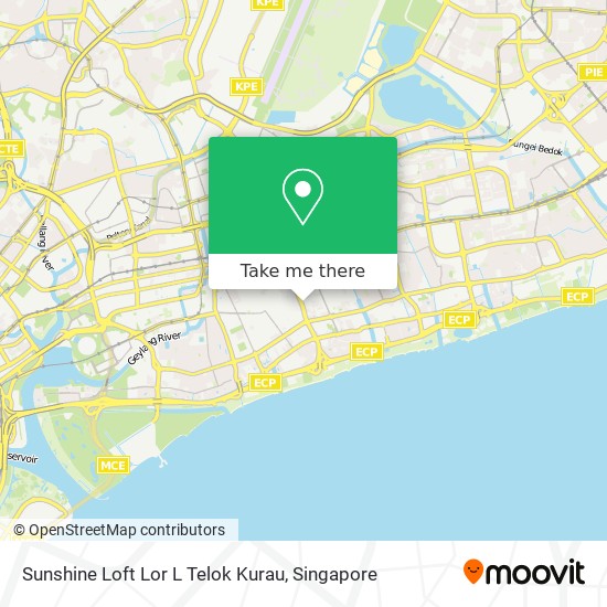 Sunshine Loft Lor L Telok Kurau地图