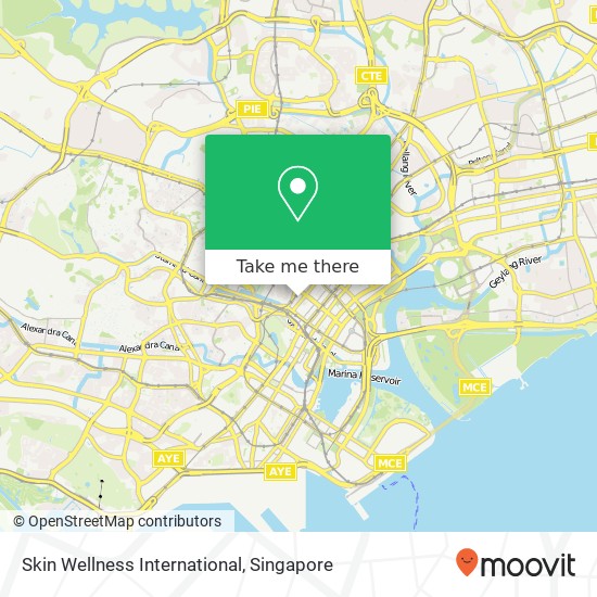 Skin Wellness International map