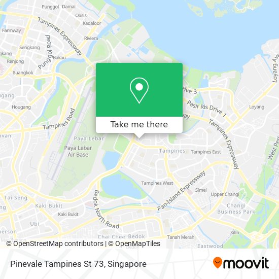 Pinevale Tampines St 73地图