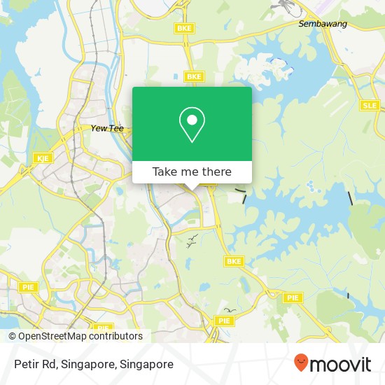 Petir Rd, Singapore地图