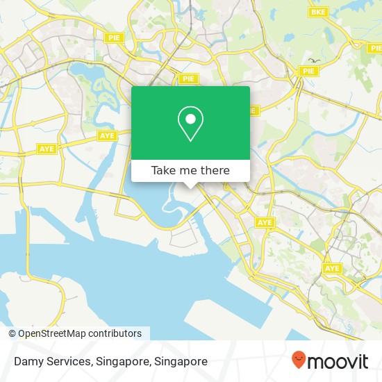 Damy Services, Singapore map