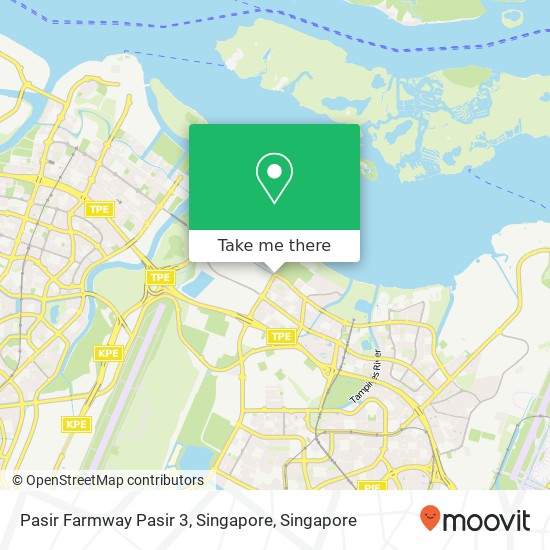 Pasir Farmway Pasir 3, Singapore map