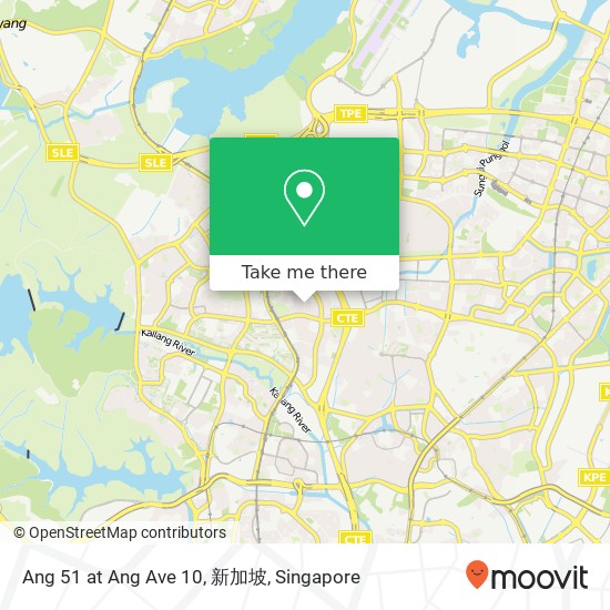 Ang 51 at Ang Ave 10, 新加坡地图