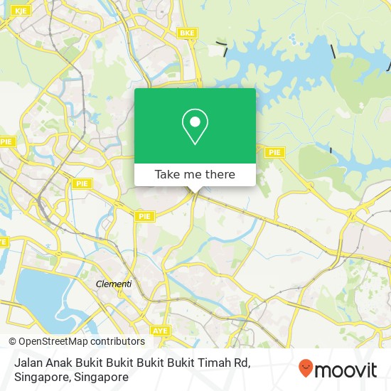 Jalan Anak Bukit Bukit Bukit Bukit Timah Rd, Singapore地图