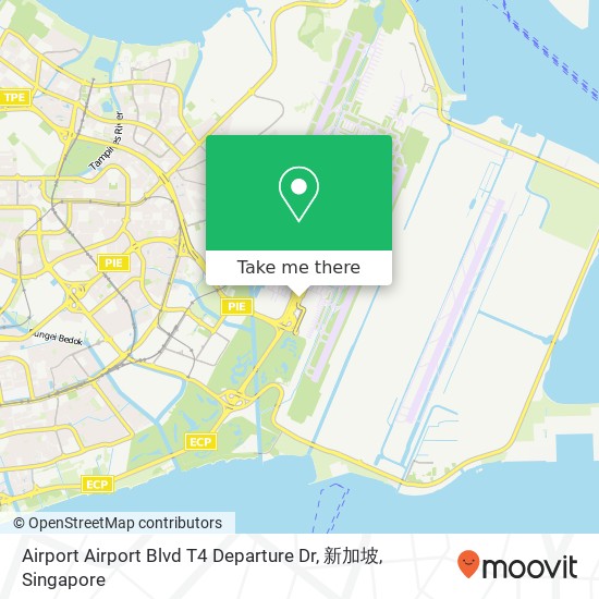 Airport Airport Blvd T4 Departure Dr, 新加坡地图