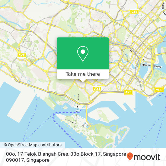 00o, 17 Telok Blangah Cres, 00o Block 17, Singapore 090017地图