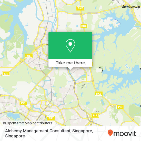 Alchemy Management Consultant, Singapore map