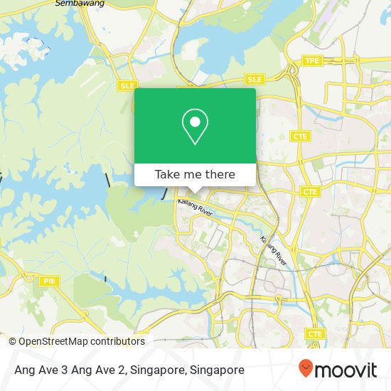 Ang Ave 3 Ang Ave 2, Singapore map