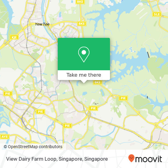 View Dairy Farm Loop, Singapore map