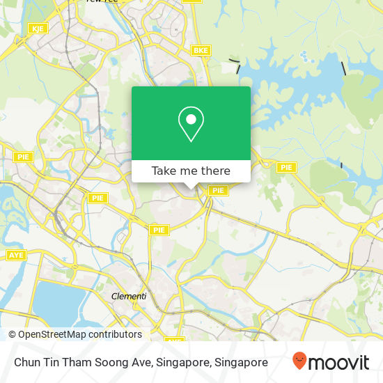 Chun Tin Tham Soong Ave, Singapore地图