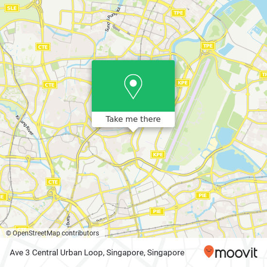 Ave 3 Central Urban Loop, Singapore map