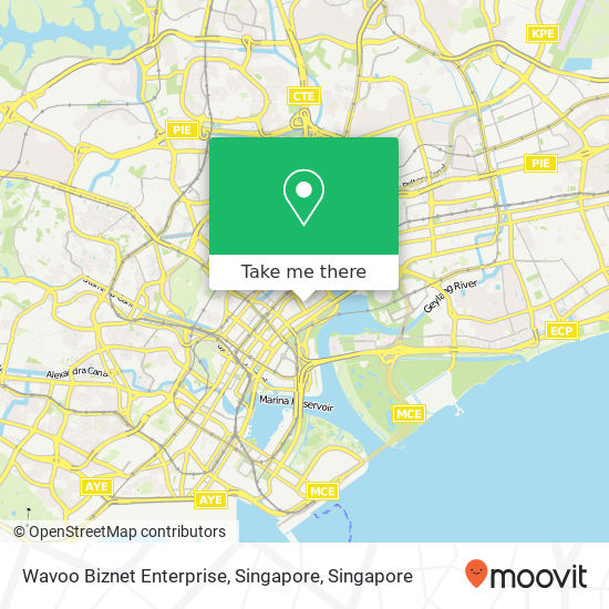 Wavoo Biznet Enterprise, Singapore地图