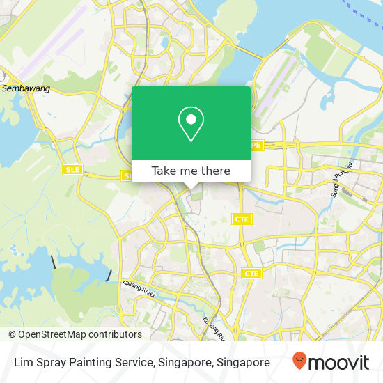 Lim Spray Painting Service, Singapore map