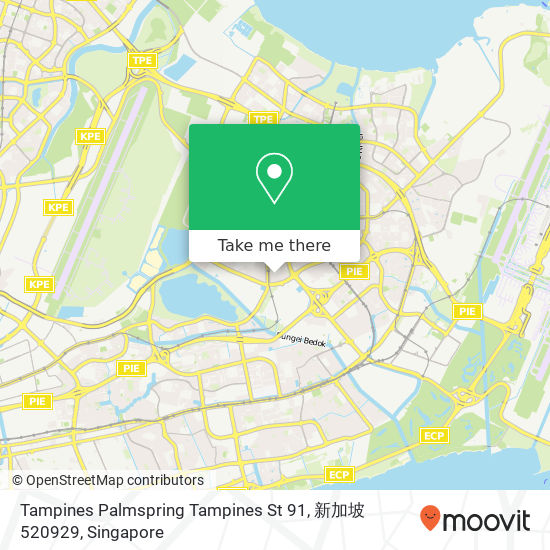Tampines Palmspring Tampines St 91, 新加坡 520929 map