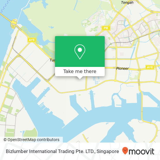 Bizlumber International Trading Pte. LTD.地图