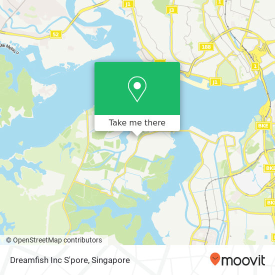 Dreamfish Inc S'pore map