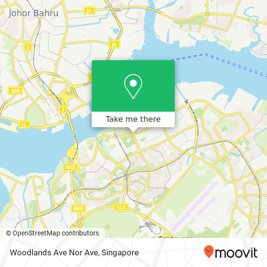 Woodlands Ave Nor Ave地图