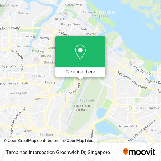 Tampines intersection Greenwich Dr map