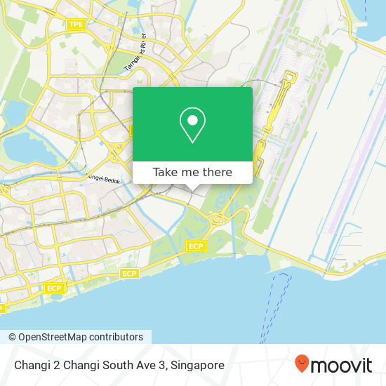 Changi 2 Changi South Ave 3地图