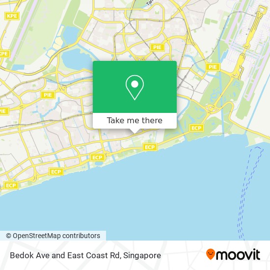 Bedok Ave and East Coast Rd地图