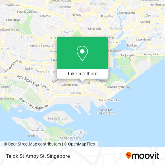 Telok St Amoy St map