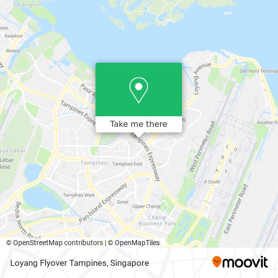 Loyang Flyover Tampines map