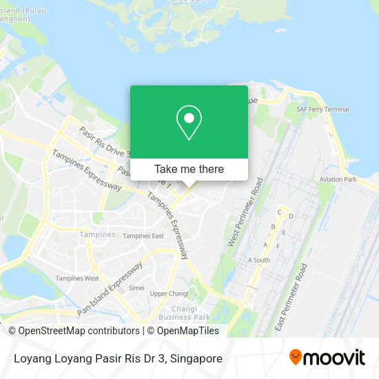 Loyang Loyang Pasir Ris Dr 3地图